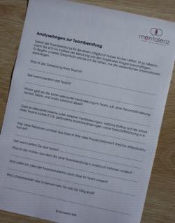 Analysebogen Teamberatung